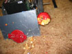apple pic 2